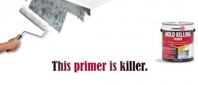 mold_killing_primer_banner_3_1024x444.jpg